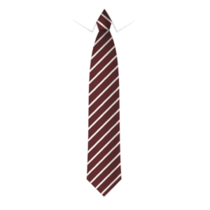 Elfed High School Tie