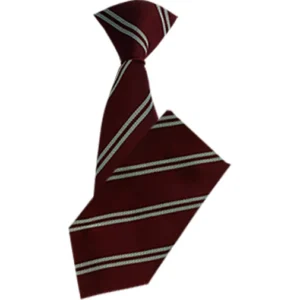 Wats Dyke School Tie
