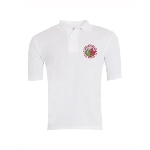 Mynydd Isa Polo