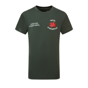 Gwenffrwd p.e. top