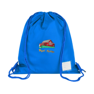 Ysgol Sychdyn Gym Bag