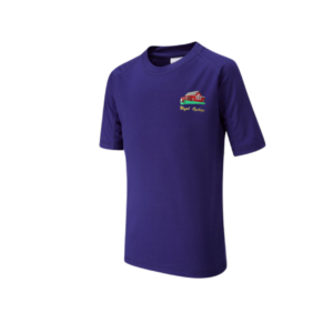 sychdyn p.e. top