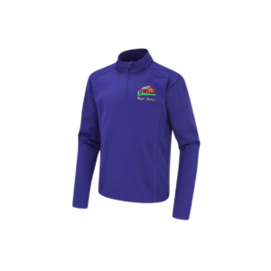 sychdyn quarter zip